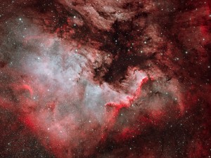 NGC7000 North American Nebula And The Cygnus Wall In Bicolour